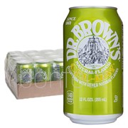 Dr Brown CelRay Soda Can 355ml  24 Pack