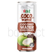 Vinut Coconut Water Chocolate 320ml  24 Pack