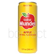 Sidral Mundet Soda Can 355ml  24 Pack
