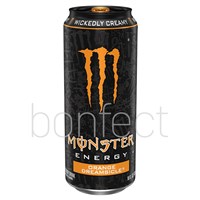 USA SPORTS  ENERGY